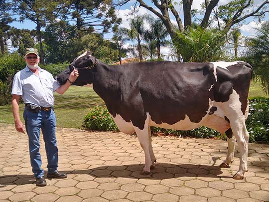 Fini Doorman Maaike 5768 TE classificada como EX 95